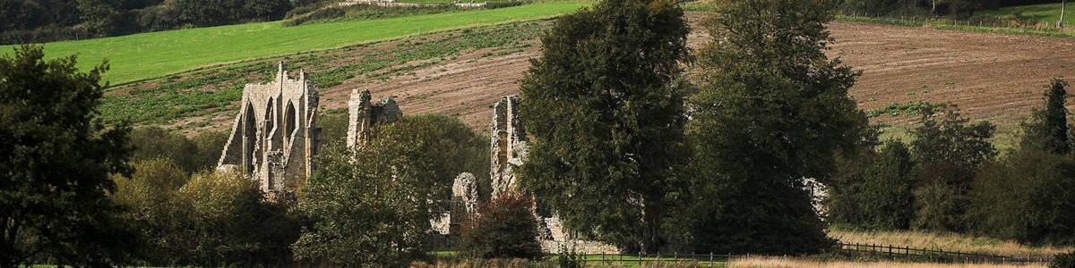 High Res bayham abbey walk cycle countryside view ruin family picnic couples hodgkinson09.jpg