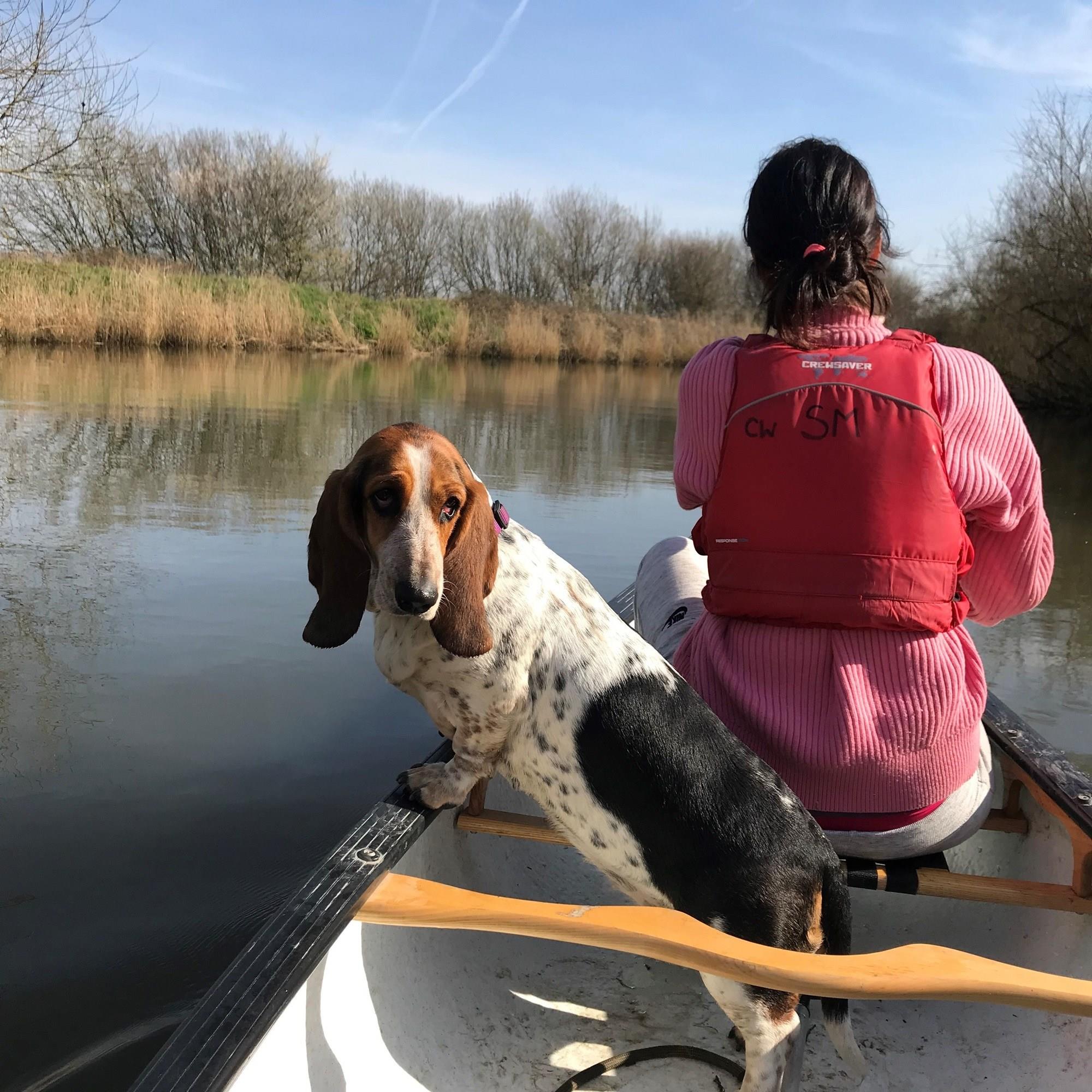 Dogfriendly attractions in Kent