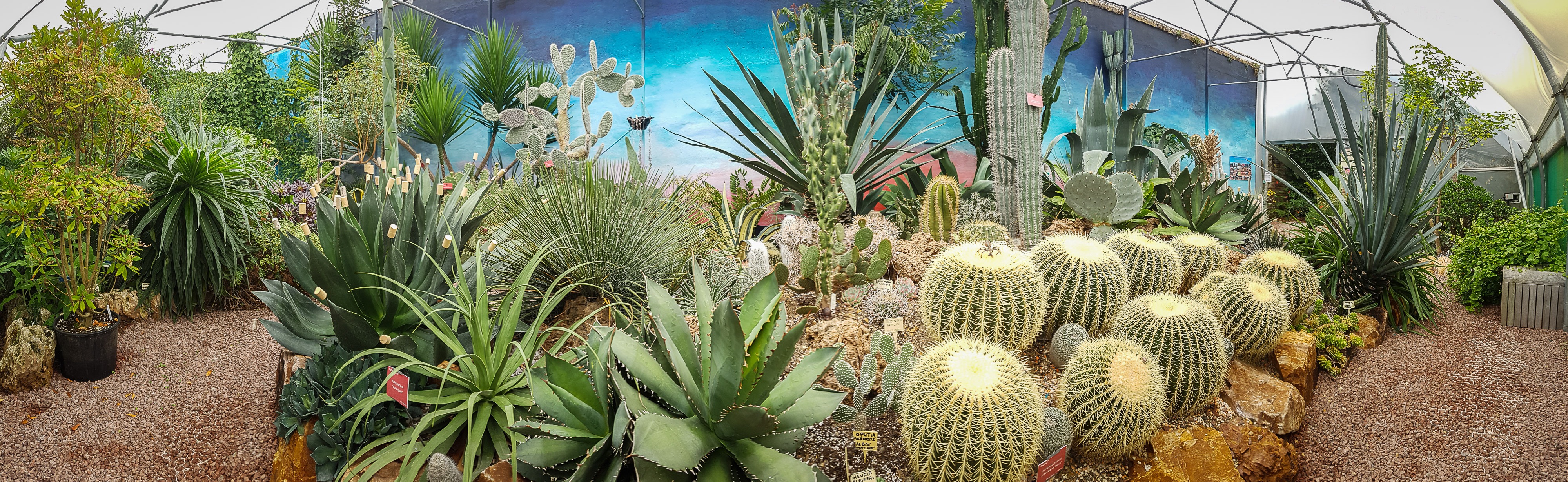 Hot & spiky - The World Garden Lullingstone Castle.jpg