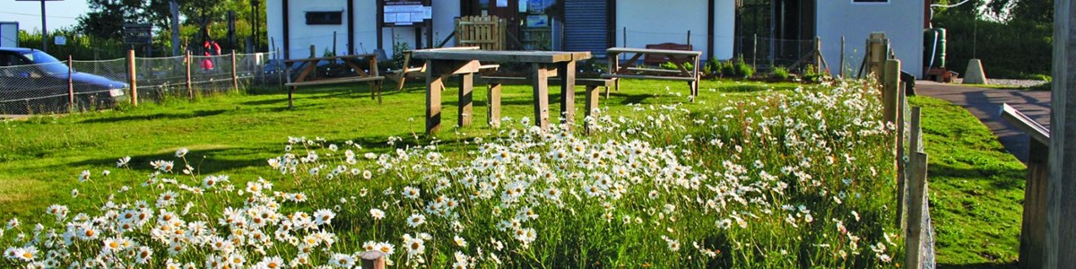 romney-marsh-visitor-centre-and-nature-reserve.jpg