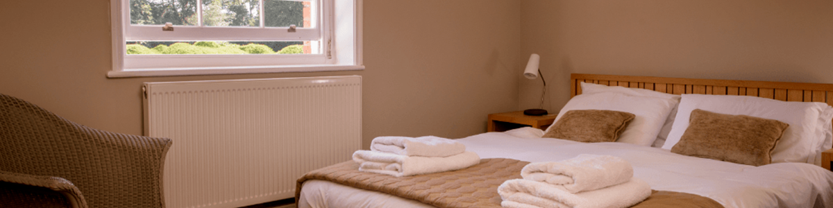 walmer_greenhouse_bed resized.PNG