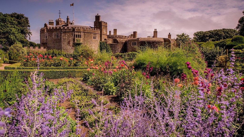 Walmer Spring 3.jpg (1)