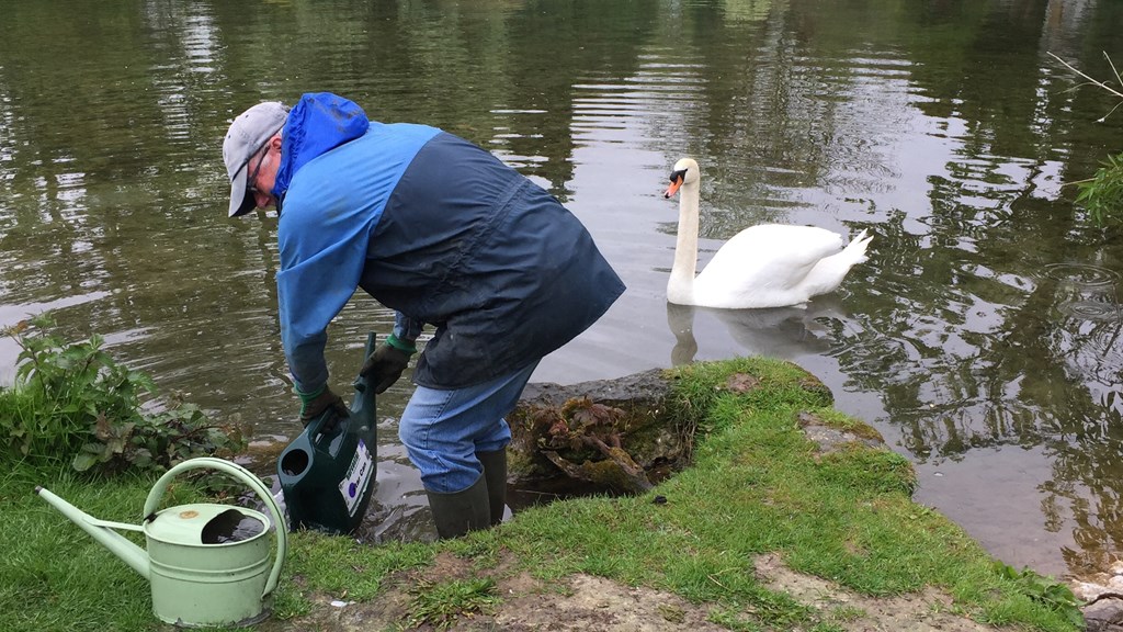 Clare-Lake-Tree-planting-2.JPG (1)