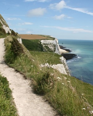 White Cliffs (1).jpg