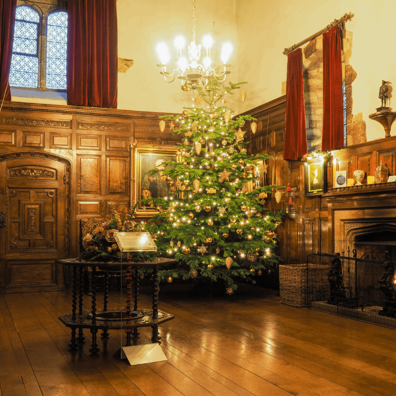 Festive family fun in Kent