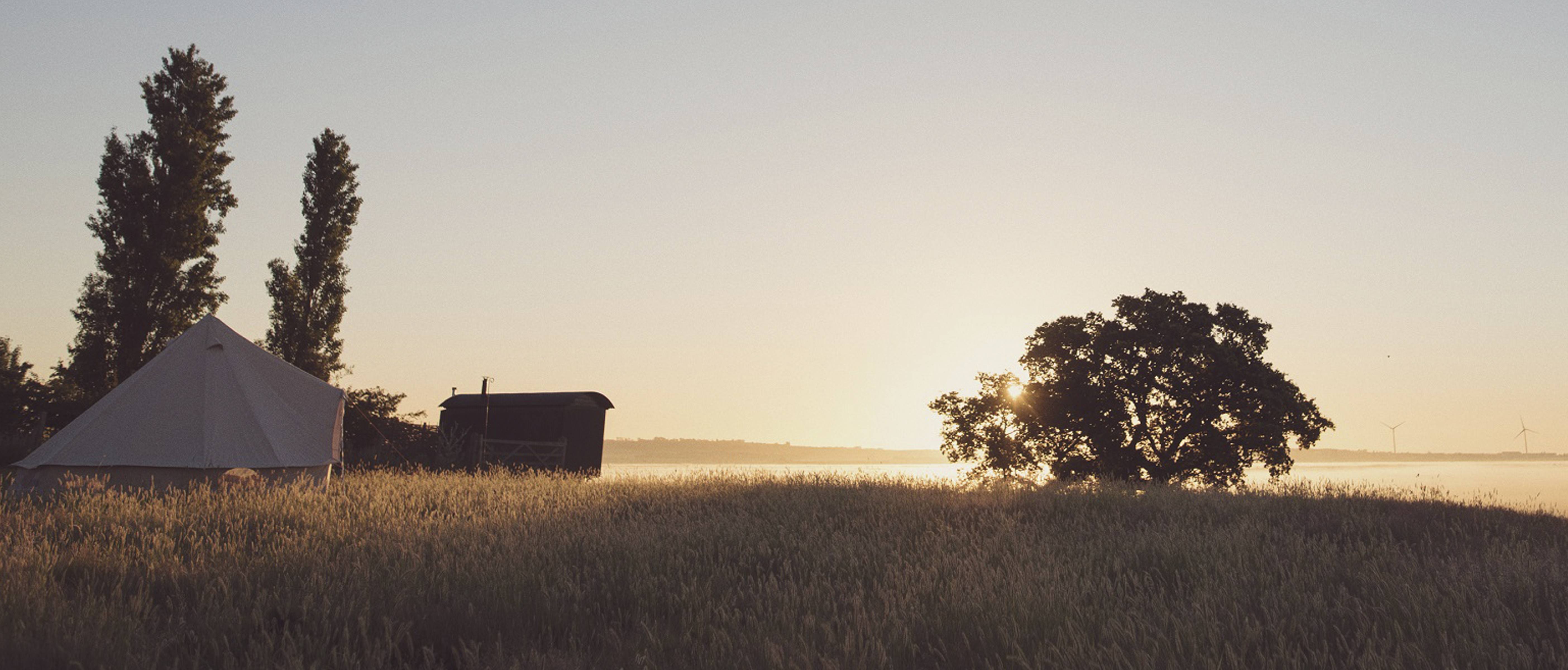 Banner - Elmley.jpg (2)