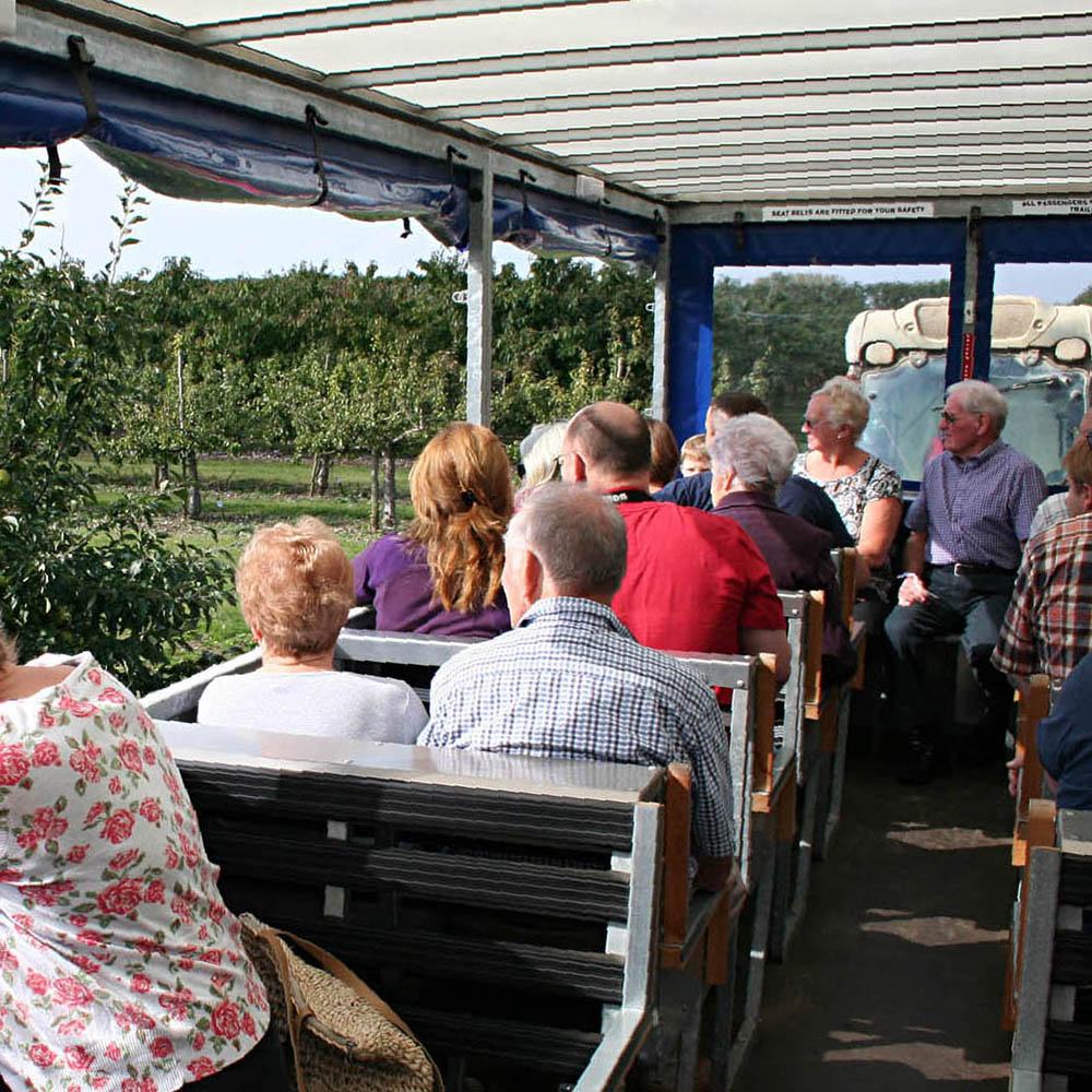 Tractor Tour at Brogdale Collections