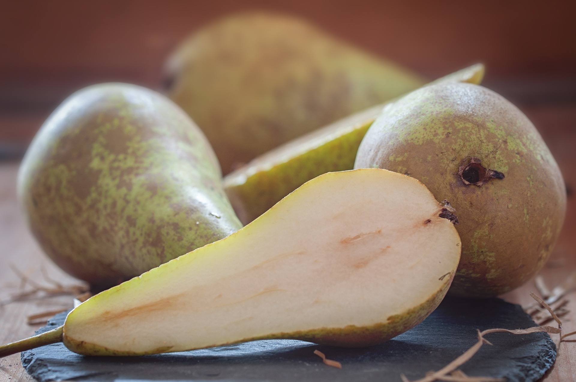 Sample some pears at Brogdale Collections