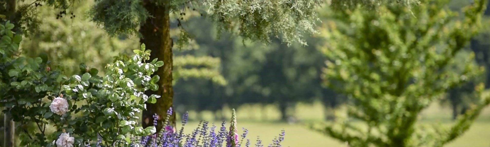 gardens.jpg