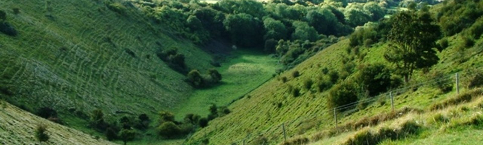 Wye National Nature Reserve Devils Kneading Trough.jpg