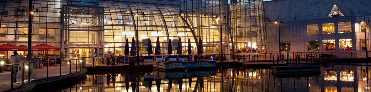 Wintergarden_Dusk_06 (2).jpg