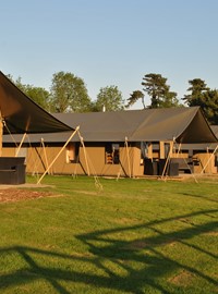 bear-lodge-at-port-lympne-reserve-1.jpg