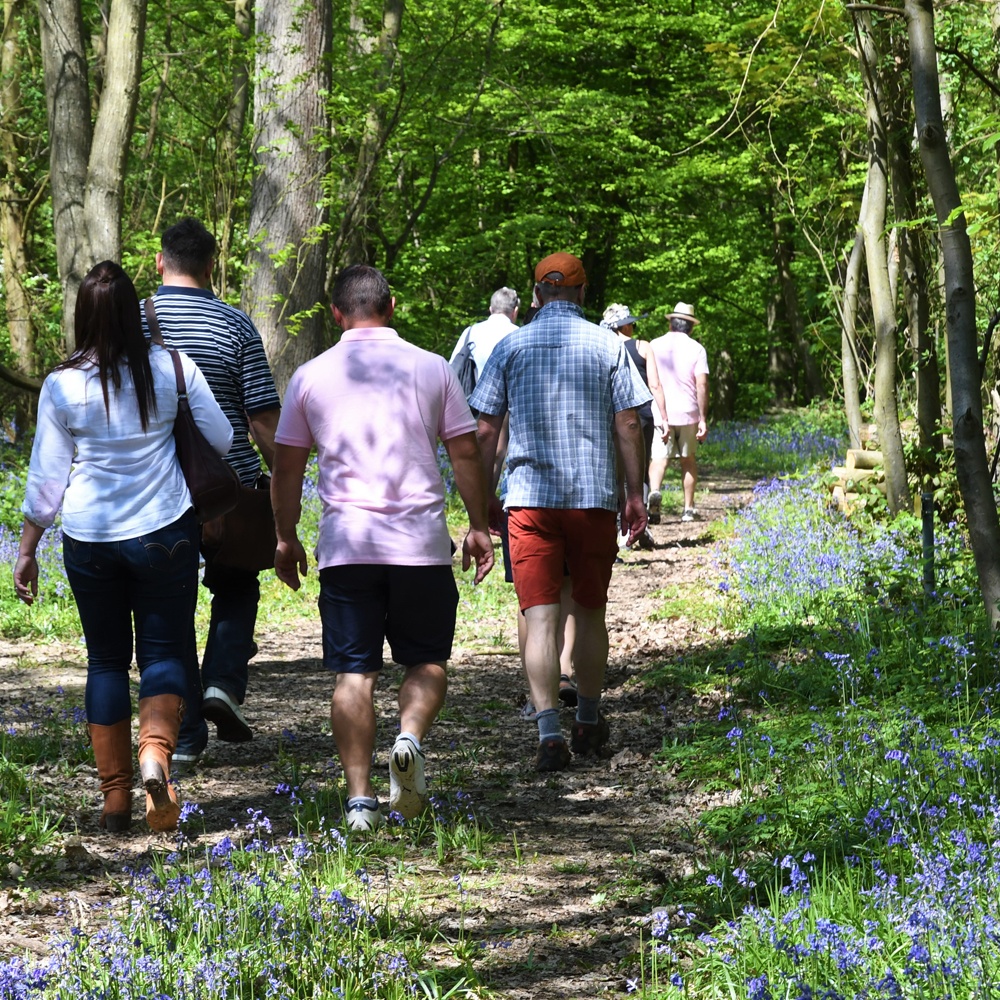 Hush Heath Estate 1000X1000