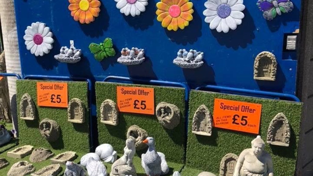 Image7 Special Offers