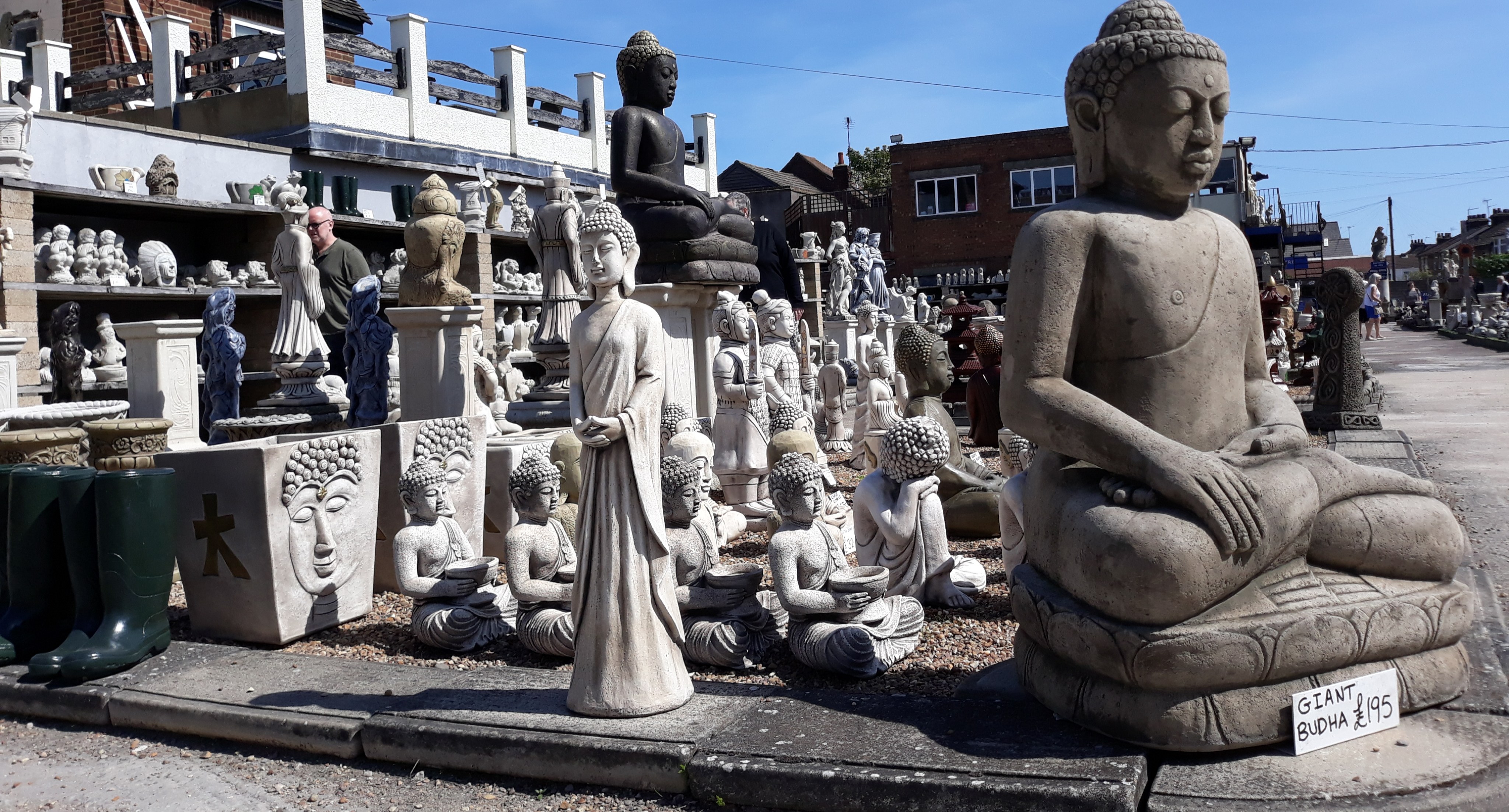 Whelans Budha Image MG