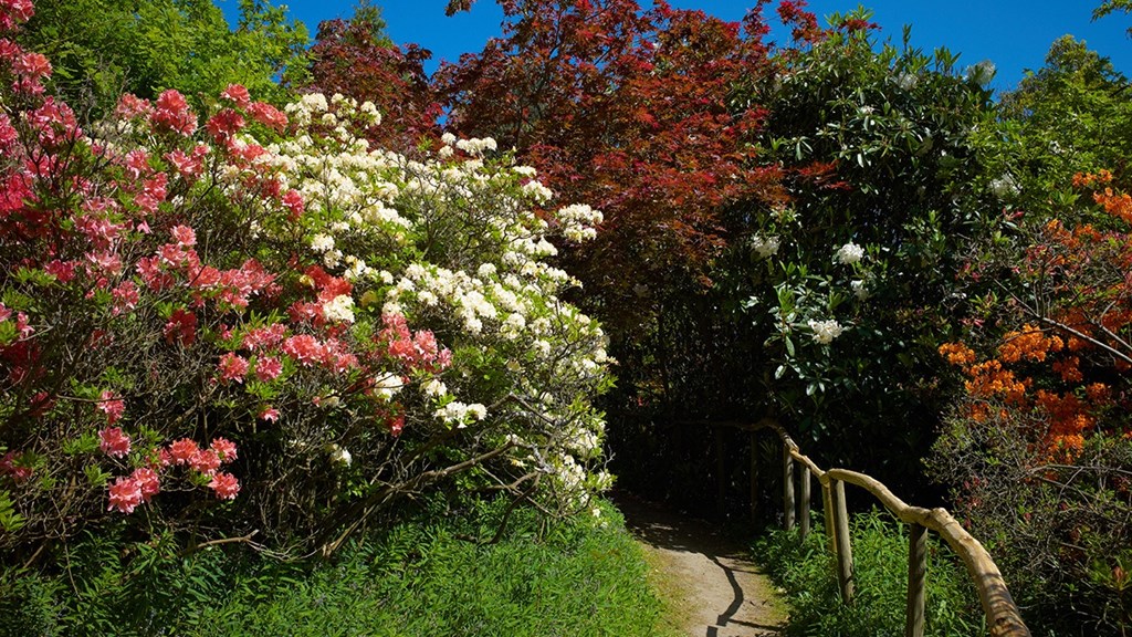 2012 12 21 14.39.52 2