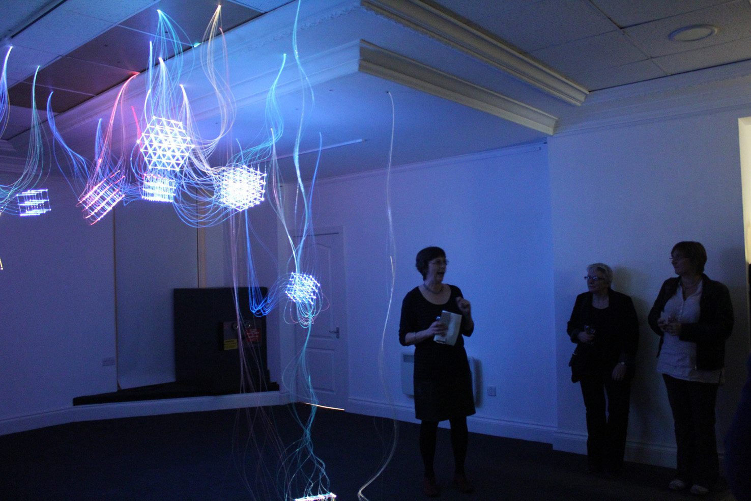 Art Science First Friday Courtesy Marine Studios