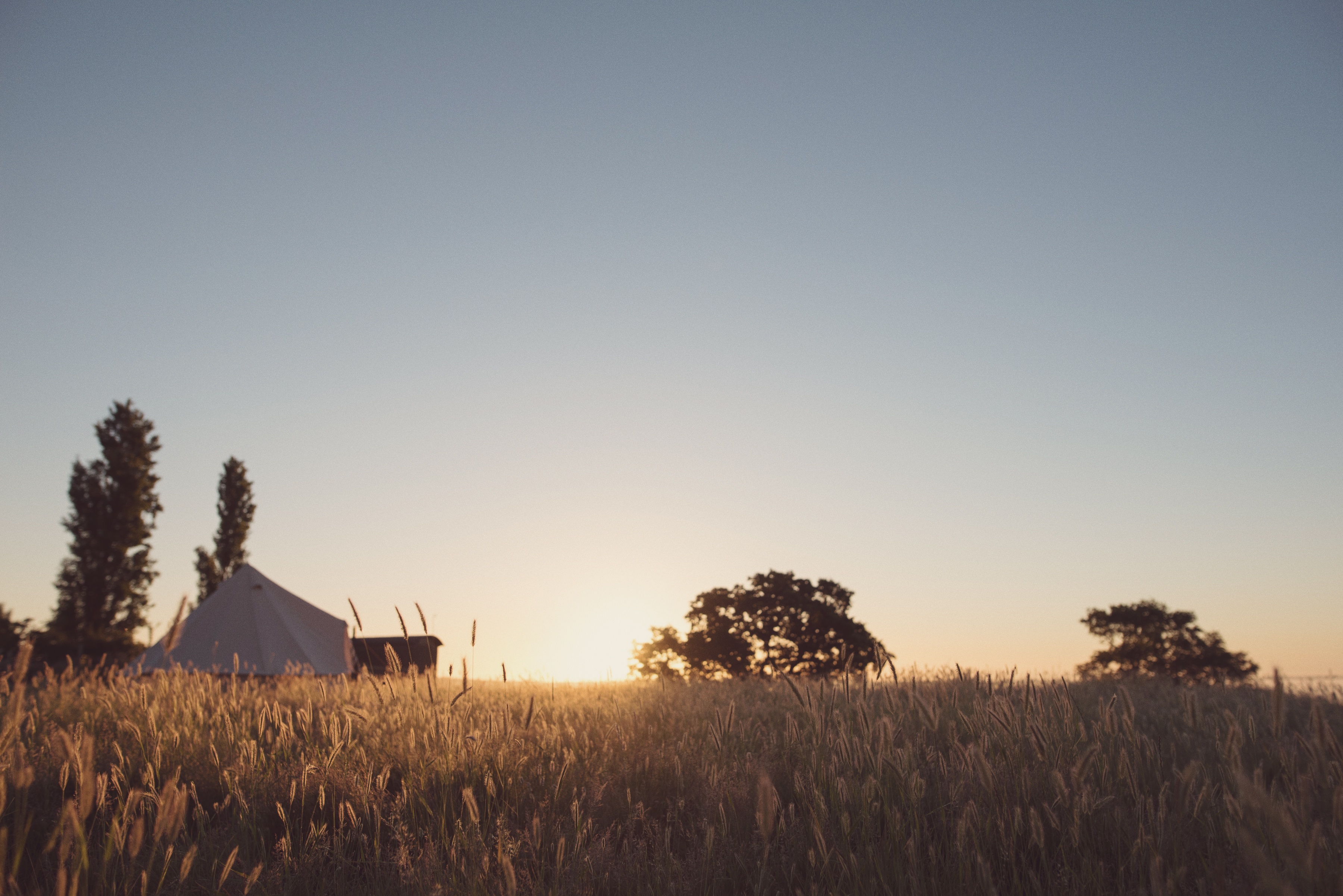 Elmley Nature Reserve Sunrise Tuesday 30Th June 2015 146