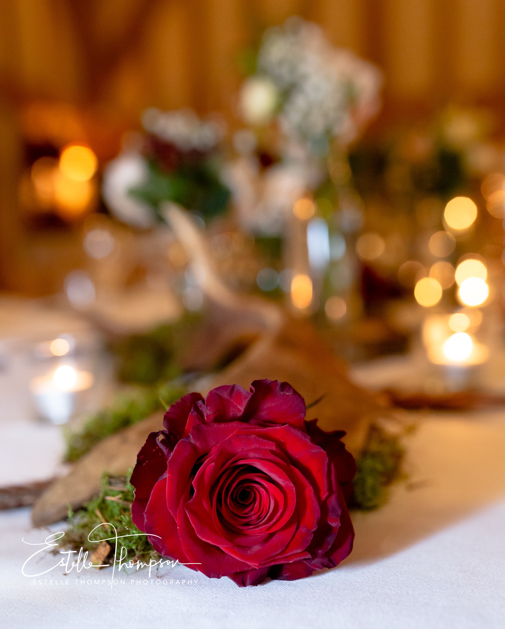 Frasers Valentines Jan20 (C)