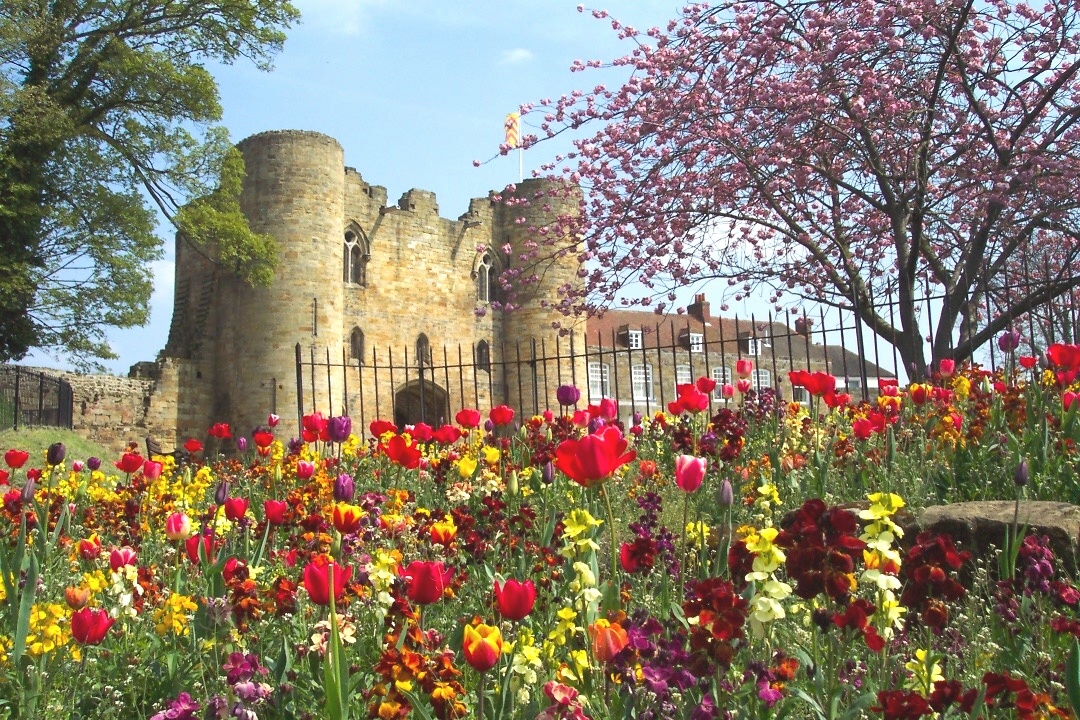 Tonbridge Castle 2017.JPG
