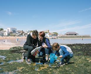 Family exploring rockpools at Viking Bay