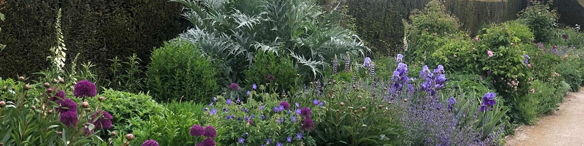 Hole Park Herbaceous Borders May20 (C)
