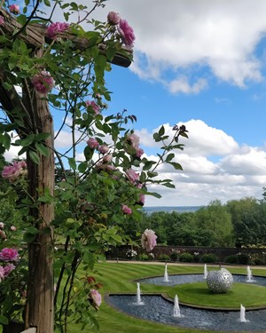 IMG 20190614 165050 Copy