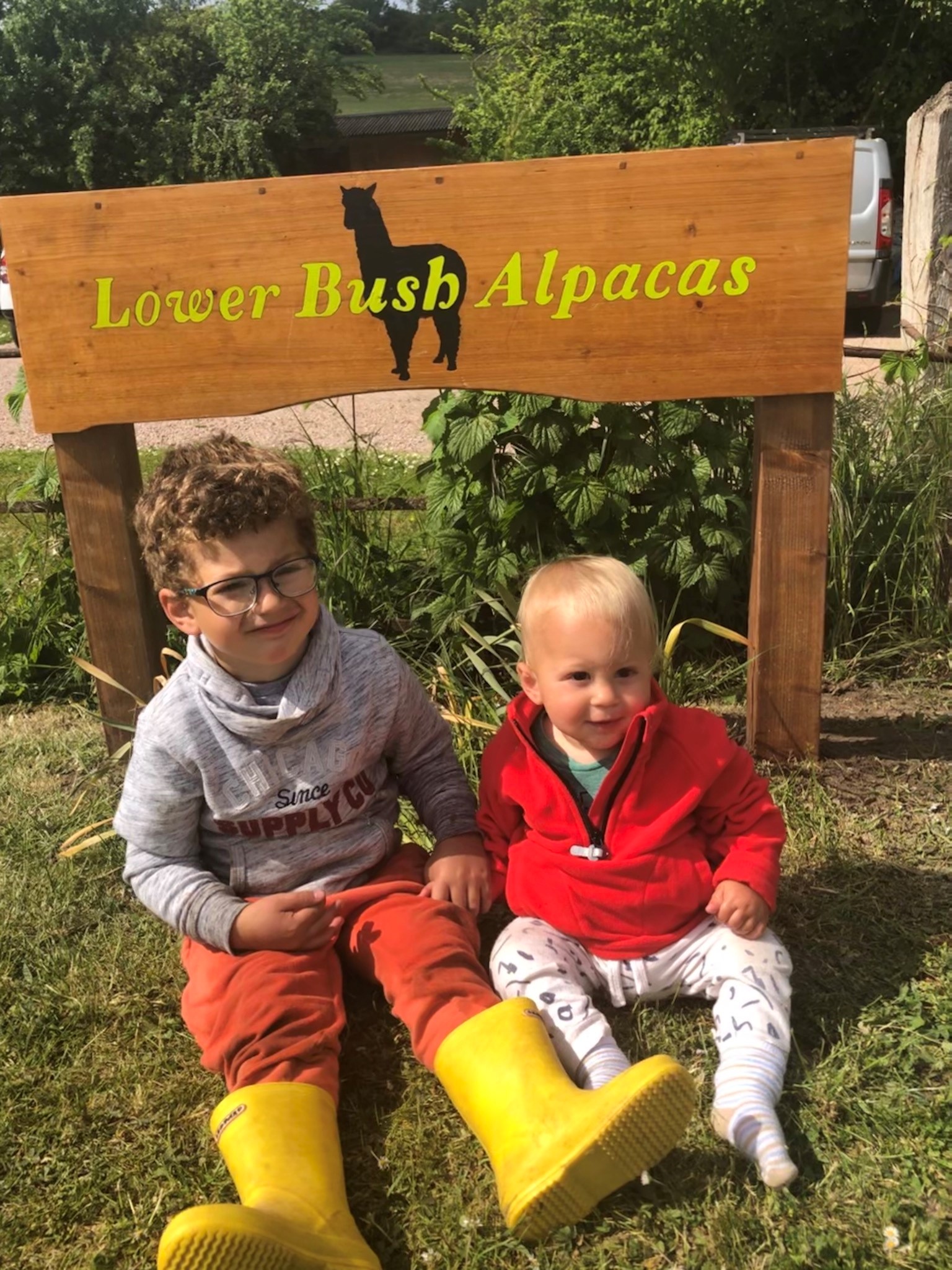 Lower Bush Alpacas Sign