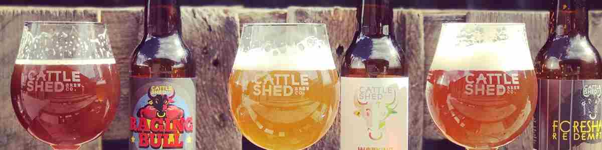 Old Dairy Brewery Cattle Shed Launch