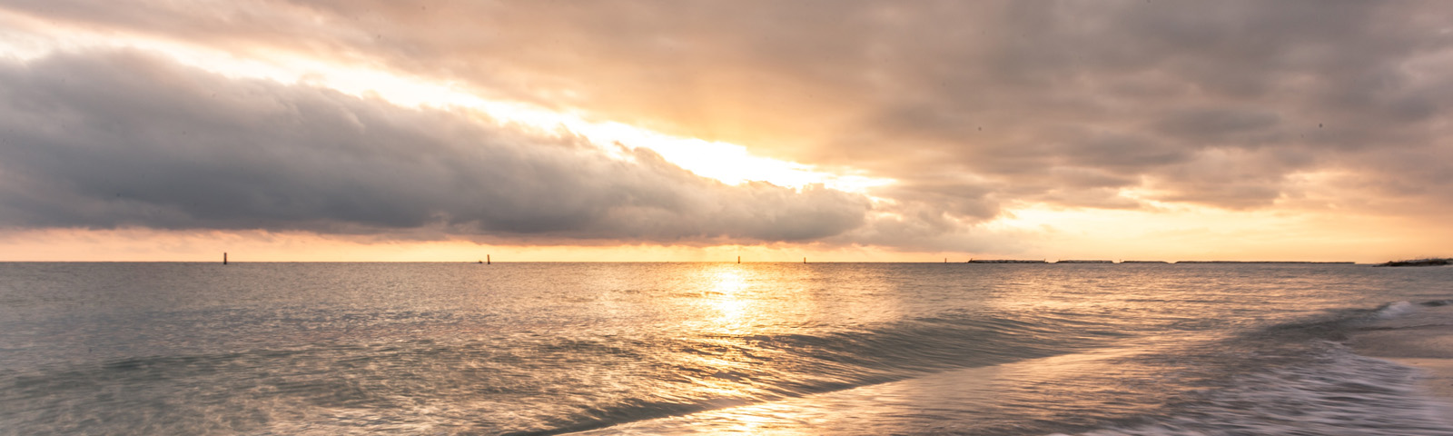 Banner Environmental 2021