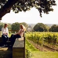 Kent Vineyards Gusbourne