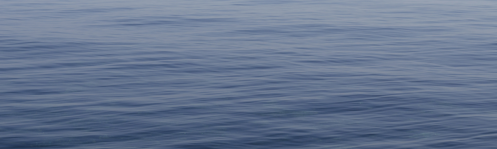 Banner Health And Well Being 2021