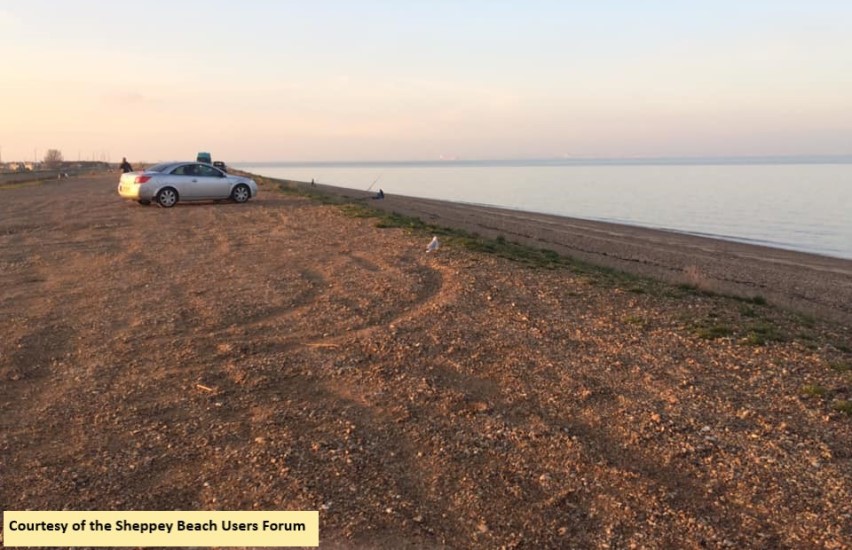 Shingle Bank 1 Cropped