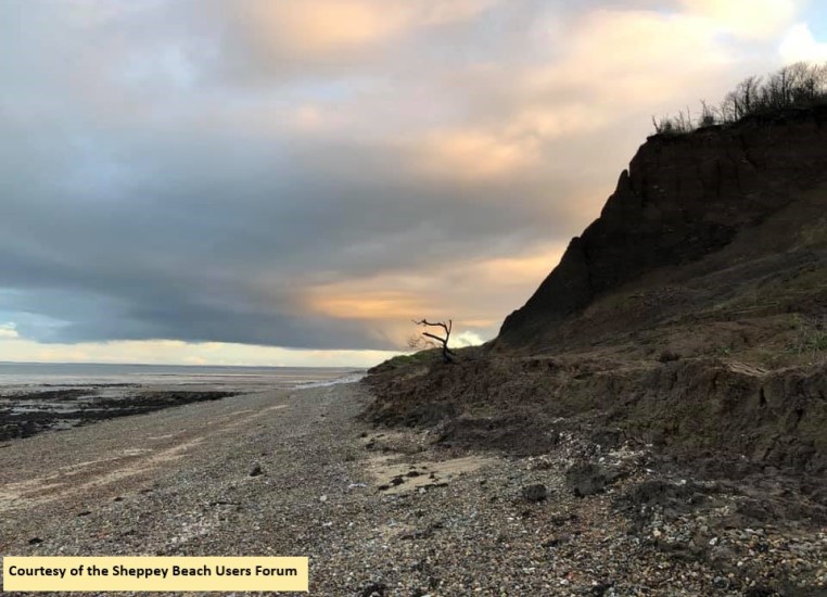 Shingle Bank 4 Cropped