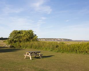 Blue sky with green grassland in forefront and two wooden beches