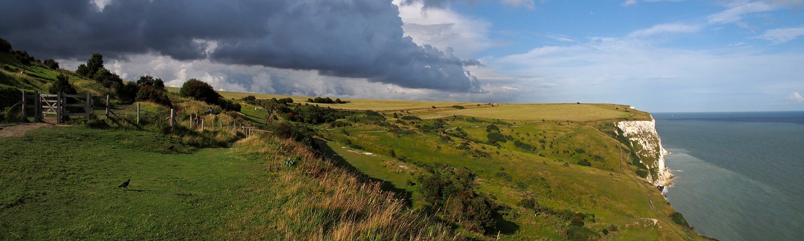 5 White Cliffs Coastal Path