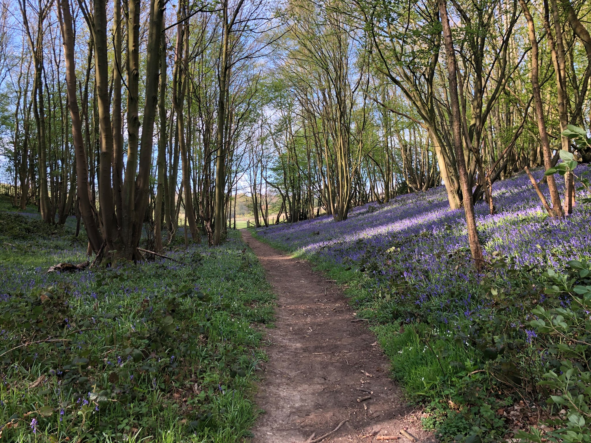 Coast And Country Rambles Facebook Banner Image