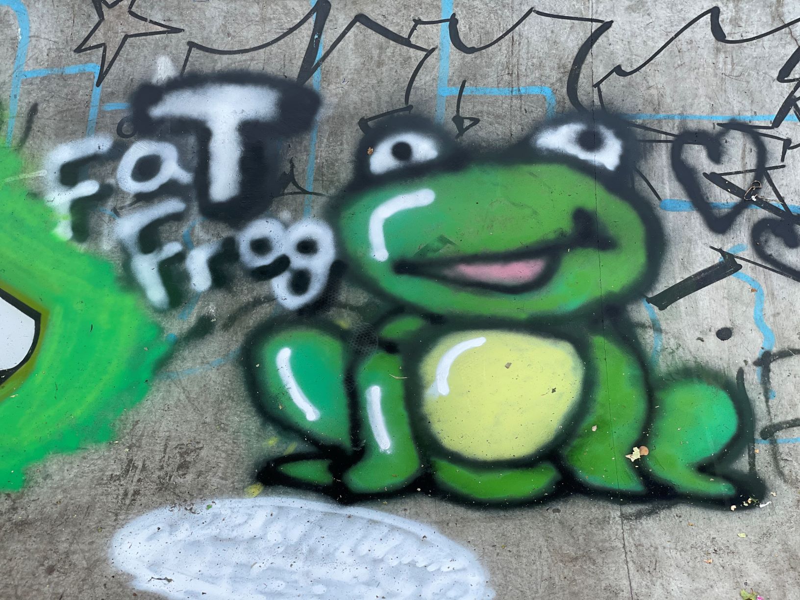 Skate Park Frog Painting SMSP Image Resized