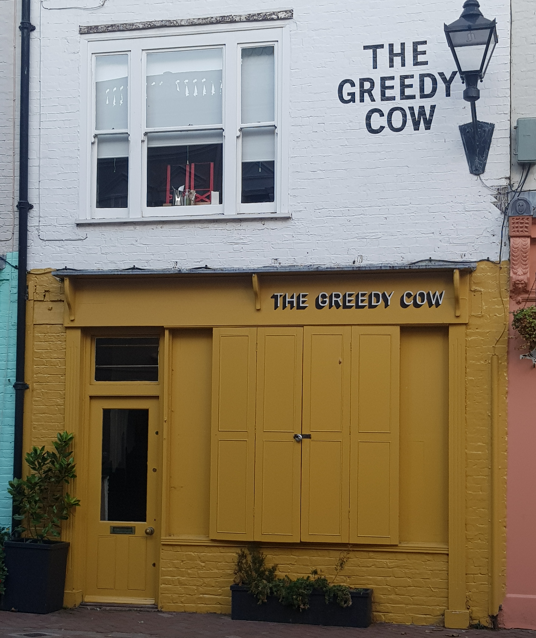 The Greedy Cow1 20211014 081502