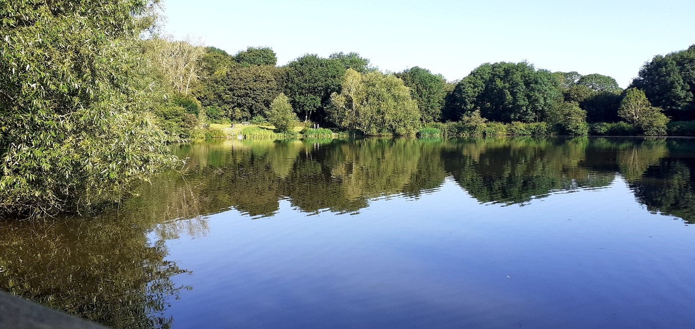 Capstone Additional 3 Images Photo 2