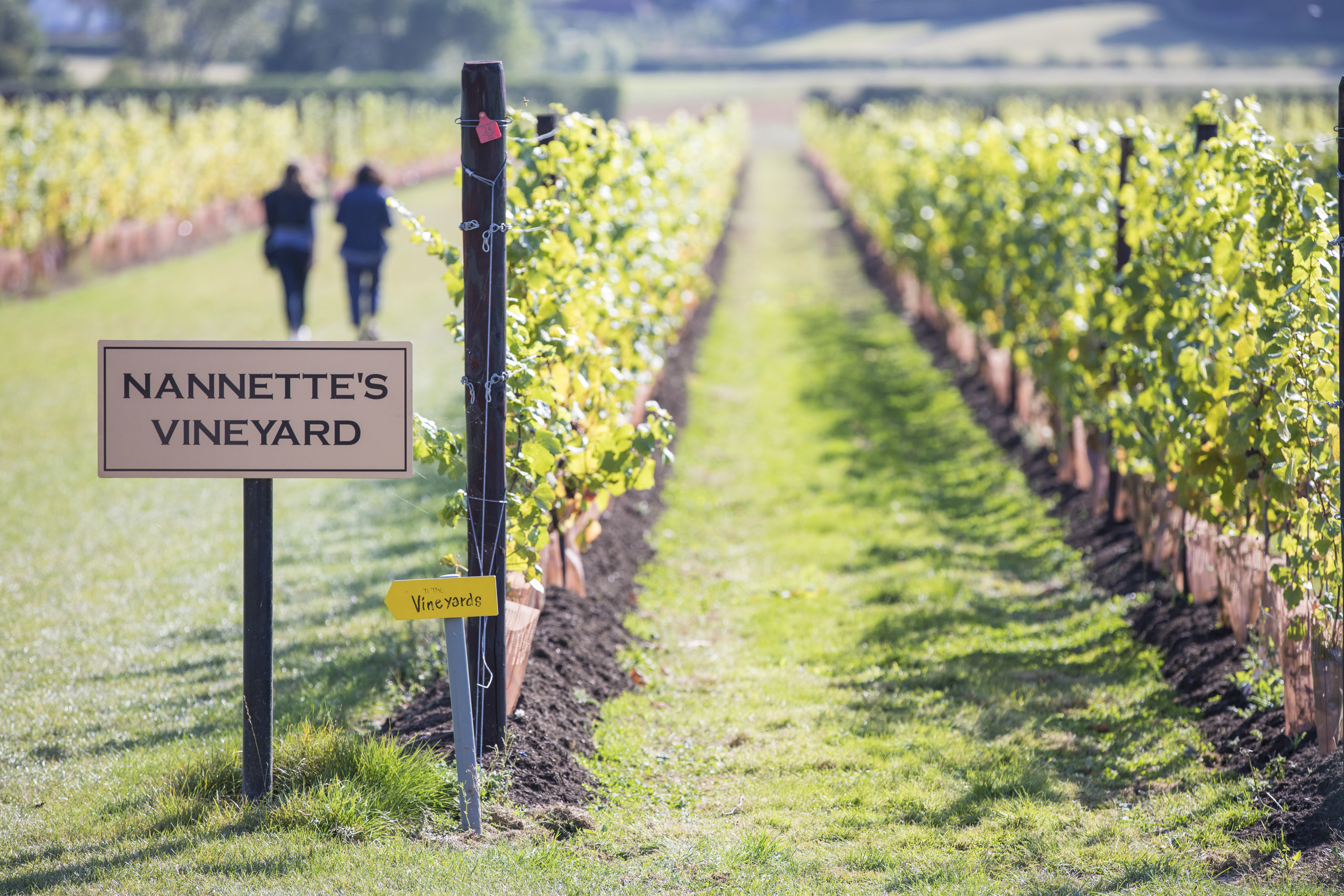Balfour Spring Nature Tour (Feb2022)