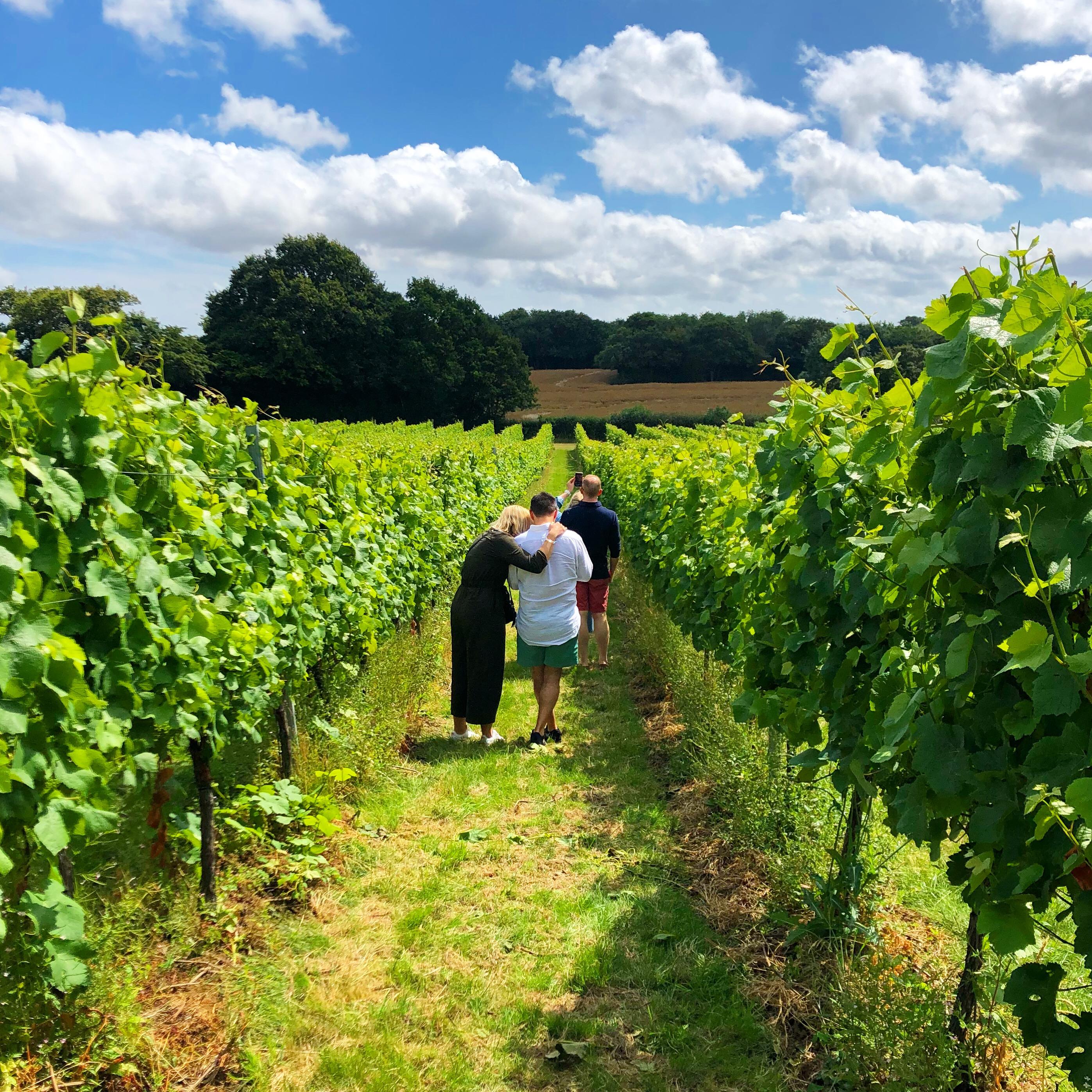 Wine tours of Kent