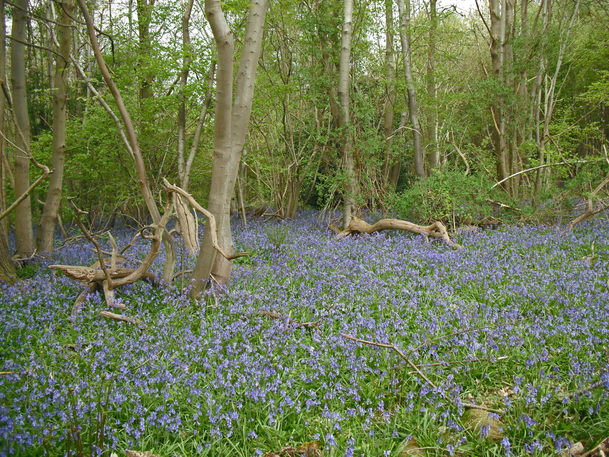 22099663582 7E69df3cba K