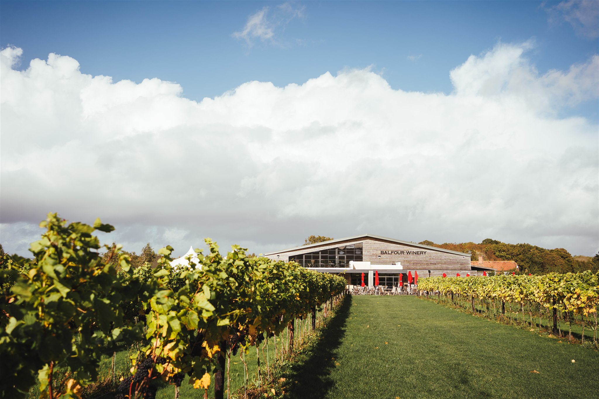 Harvest At Balfour 72 (1)