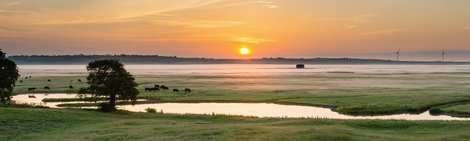 Dawn view from the huts at kingshill Farm.jpg