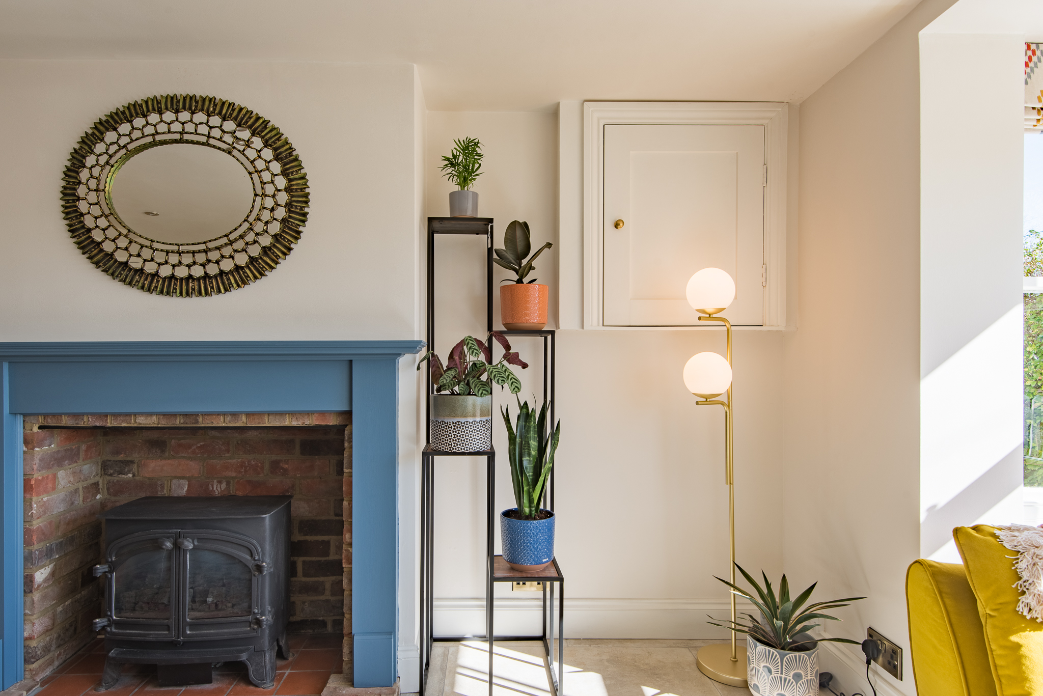 Interiors Plants (3)