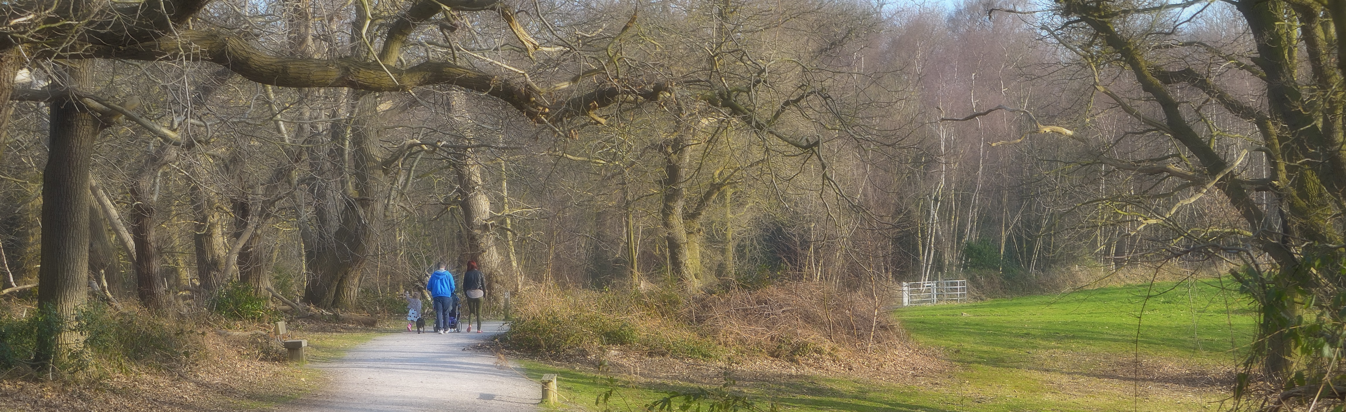 Shorne Country Park Banner On A Sunny March Day David Lewis