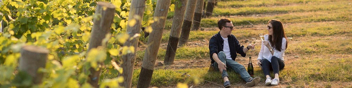 Kent Wine Tours Chapel Down