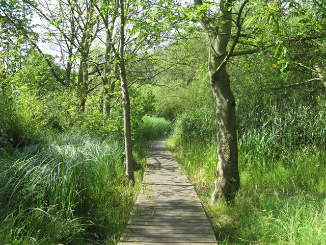Broxbourne Old Mill And Meadows