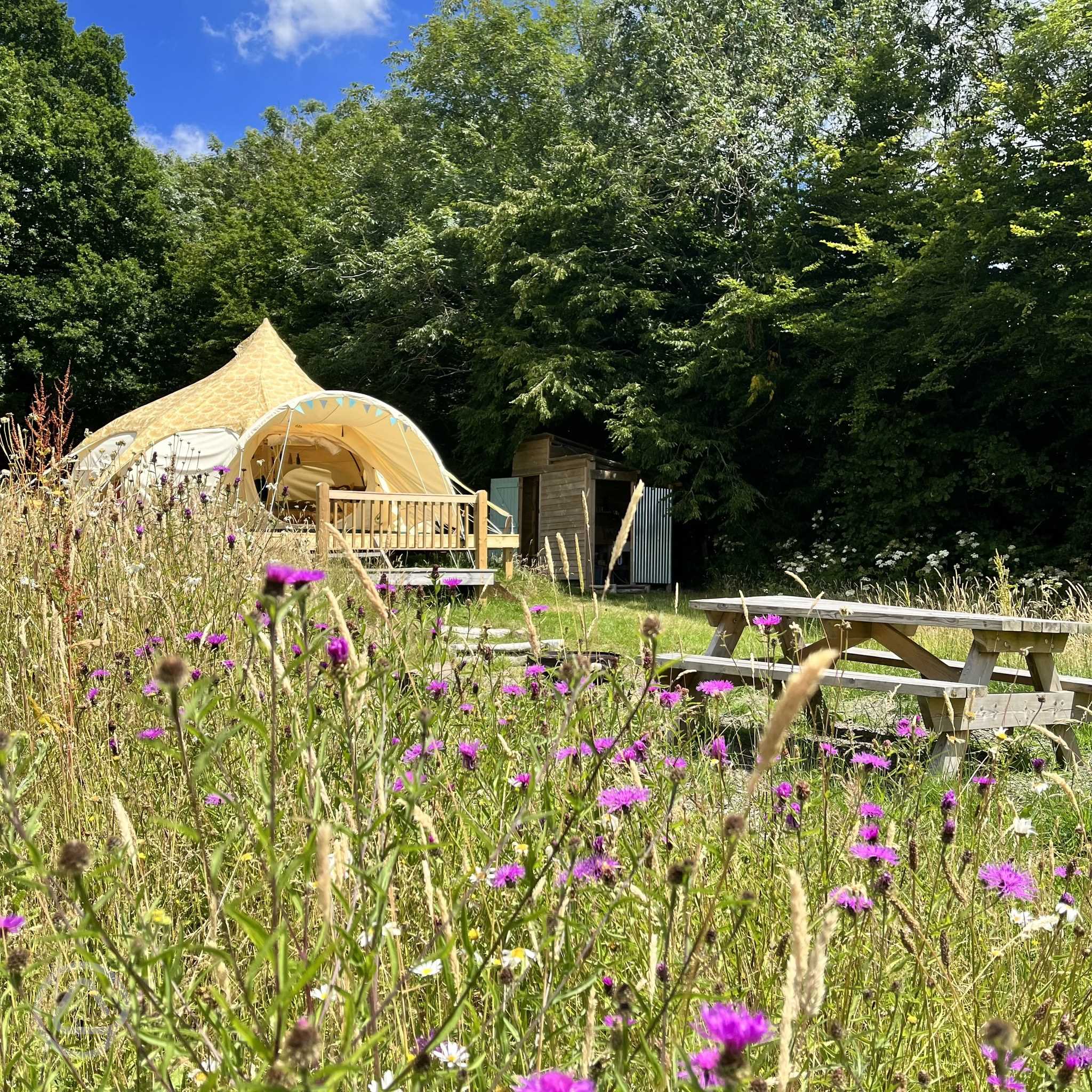 Star Field Camping And Glamping
